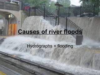 Causes of river floods Hydrographs + flooding 