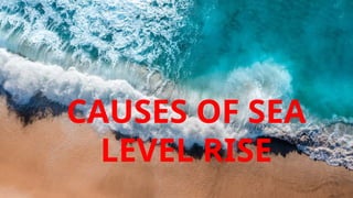 causes of sea level rise and climate change | PPTX