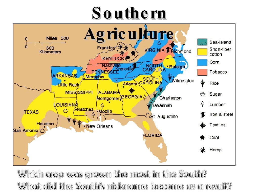 Causes of the Civil War Slavery