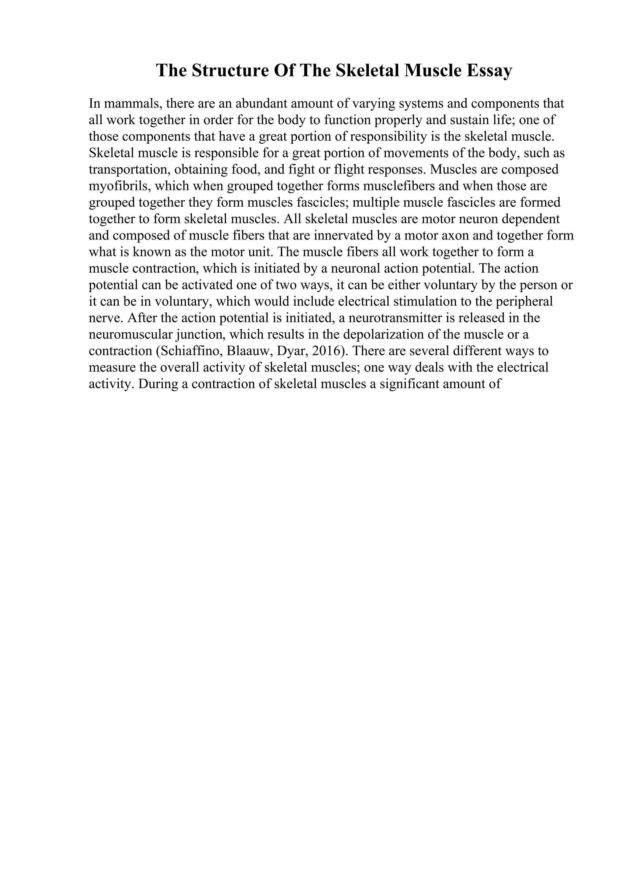 The Structure Of The Skeletal Muscle Essay
In mammals, there are an abundant amount of varying systems and components that
all work together in order for the body to function properly and sustain life; one of
those components that have a great portion of responsibility is the skeletal muscle.
Skeletal muscle is responsible for a great portion of movements of the body, such as
transportation, obtaining food, and fight or flight responses. Muscles are composed
myofibrils, which when grouped together forms musclefibers and when those are
grouped together they form muscles fascicles; multiple muscle fascicles are formed
together to form skeletal muscles. All skeletal muscles are motor neuron dependent
and composed of muscle fibers that are innervated by a motor axon and together form
what is known as the motor unit. The muscle fibers all work together to form a
muscle contraction, which is initiated by a neuronal action potential. The action
potential can be activated one of two ways, it can be either voluntary by the person or
it can be in voluntary, which would include electrical stimulation to the peripheral
nerve. After the action potential is initiated, a neurotransmitter is released in the
neuromuscular junction, which results in the depolarization of the muscle or a
contraction (Schiaffino, Blaauw, Dyar, 2016). There are several different ways to
measure the overall activity of skeletal muscles; one way deals with the electrical
activity. During a contraction of skeletal muscles a significant amount of
 