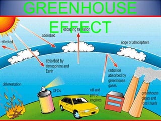 Causes of the global warming | PPT