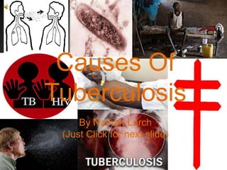 Causes Of
Tuberculosis
     By Nathan Larch
 (Just Click for next slide)
 