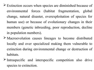  Extinction occurs when species are diminished because of
environmental forces (habitat fragmentation, global
change, natural disaster, overexploitation of species for
human use) or because of evolutionary changes in their
members (genetic inbreeding, poor reproduction, decline
in population numbers).
 Macroevolution causes lineages to become distributed
locally and over specialized making them vulnerable to
extinction during environmental change or destruction of
habitats.
 Intraspecific and interspecific competition also drive
species to extinction.
 