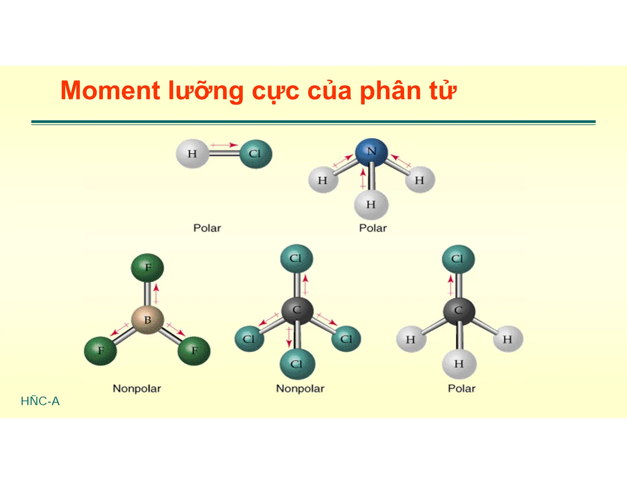 HÑC-A
Moment lưỡng cực của phân tử
 