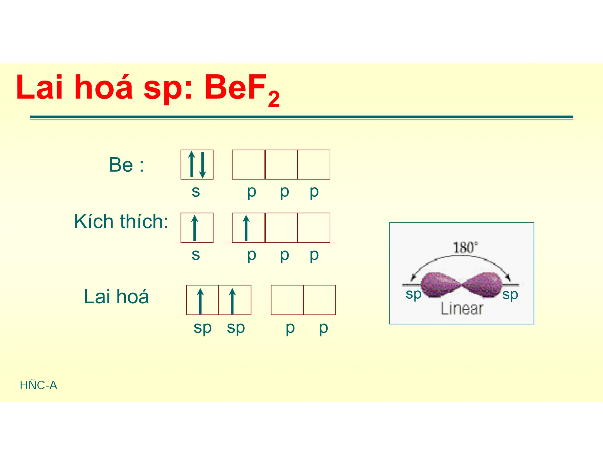 HÑC-A
Lai hoá sp: BeF2
Be :
Kích thích:
Lai hoá
s p p
p
s p p
p
sp sp p p
sp sp
 
