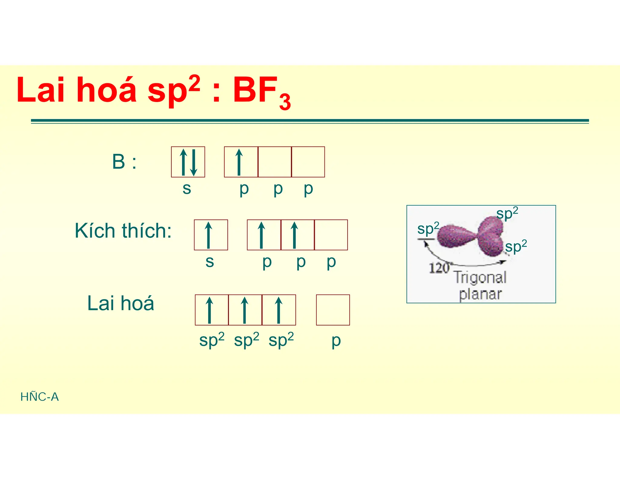 HÑC-A
Lai hoá sp2 : BF3
B :
Kích thích:
Lai hoá
s p p
p
s p p
p
sp2 sp2 p
sp2
sp2
sp2
sp2
 