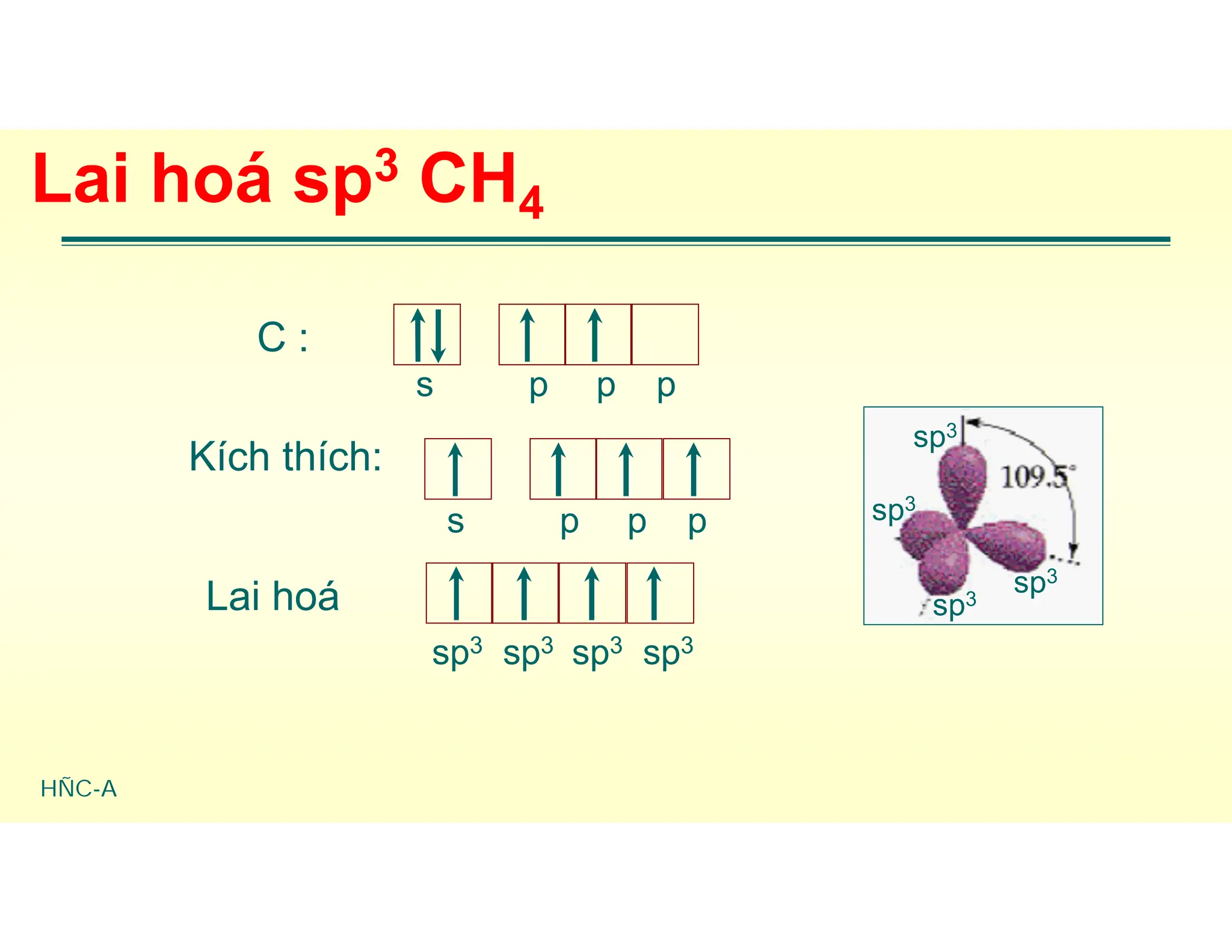HÑC-A
Lai hoá sp3 CH4
C :
Kích thích:
Lai hoá
s p p
p
s p p
p
sp3 sp3 sp3
sp3
sp3
sp3
sp3
sp3
 
