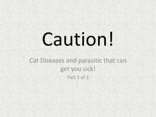 Caution!
Cat Diseases and parasitic that can
get you sick!
Part 1 of 2
 