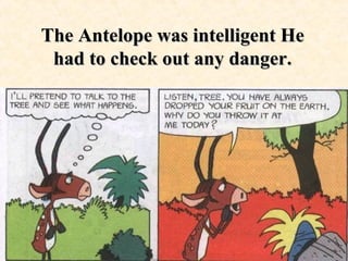 The Antelope was intelligent He had to check out any danger. 