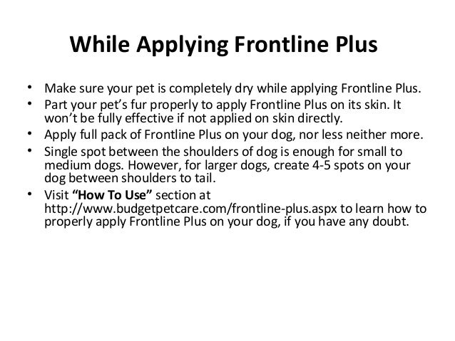 applying frontline