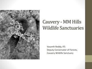 Cauvery - MM Hills
Wildlife Sanctuaries
Vasanth Reddy, IFS
Deputy Conservator of Forests,
Cauvery Wildlife Sanctuary
 