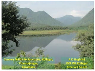 Cauvery Wild Life Sanctuary, Kollegal,
Chamrajnagar,
karnataka
A K Singh IFS
DCF WL Kollegal
Area 527 Sq Km
 