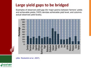 Land degradation in the drylands - Models to help smallholder farmers cope 