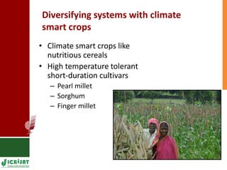 Land degradation in the drylands - Models to help smallholder farmers cope 