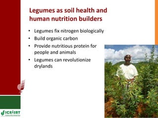 Land degradation in the drylands - Models to help smallholder farmers cope 