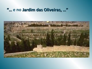 “… e no Jardim das Oliveiras, …”
 