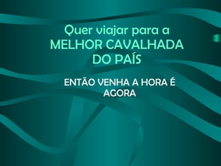Quer viajar para a MELHOR CAVALHADA DO PAÍS ENTÃO VENHA A HORA É AGORA 