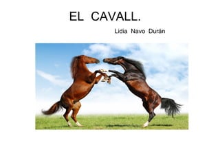 EL  CAVALL.    Lidia  Navo  Durán  