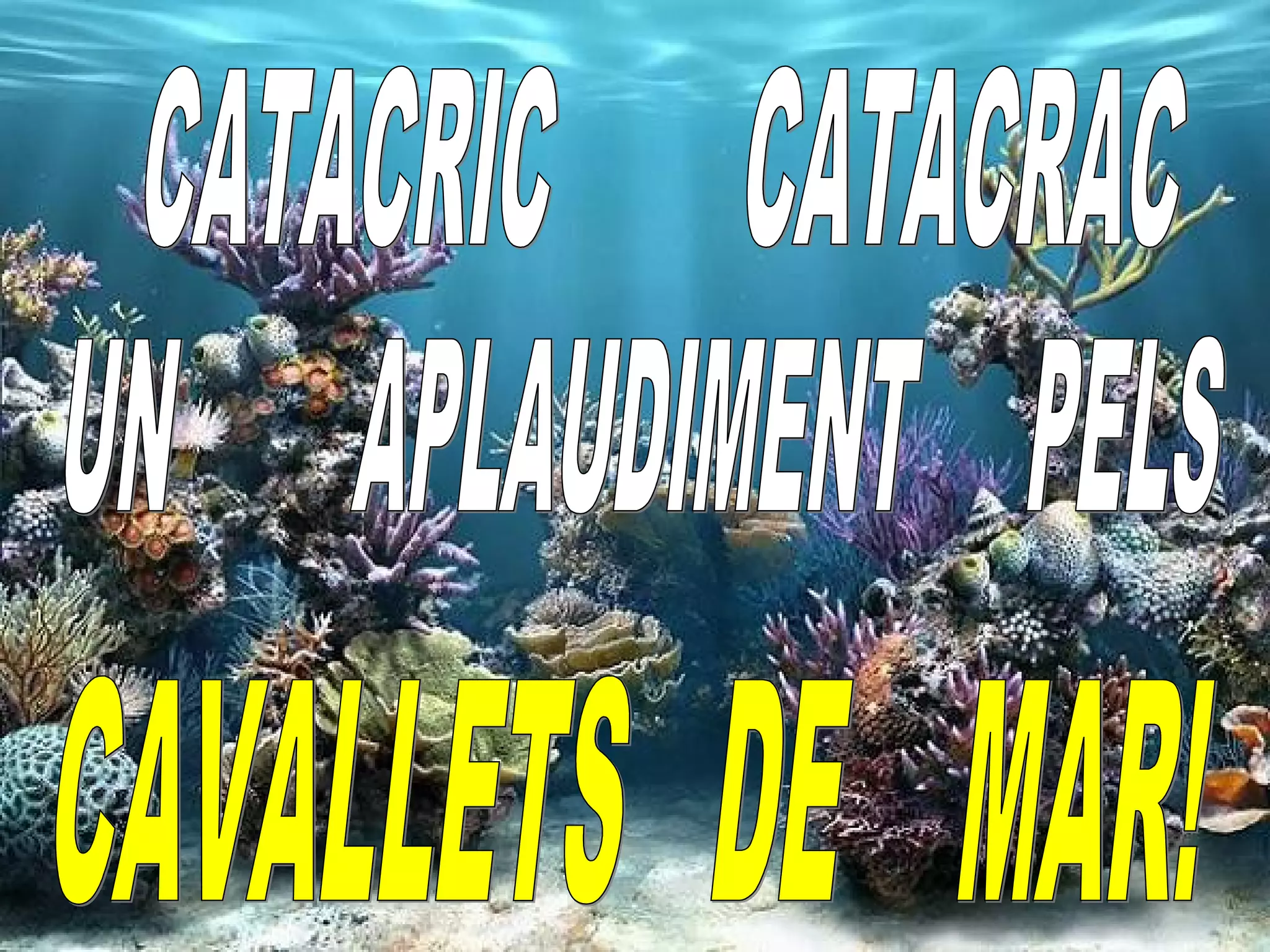 Projecte dels cavallets de mar.