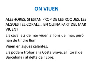ON VIUEN
ALESHORES, SI ESTAN PROP DE LES ROQUES, LES
ALGUES I EL CORALL… EN QUINA PART DEL MAR
VIUEN?
Els cavallets de mar viuen al fons del mar, però
han de tindre llum.
Viuen en aigües calentes.
Els podem trobar a la Costa Brava, al litoral de
Barcelona i al delta de l’Ebre.
 