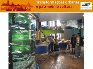 Apresentação Fernando Cavallieri