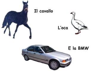 Il cavallo L’oca E la BMW 