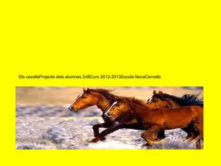 Els cavallsProjecte dels alumnes 2nBCurs 2012-2013Escola NovaCervelló
 