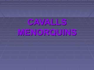 CAVALLS
MENORQUINS
 