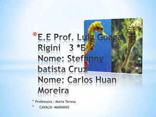 * Professora : Maria Teresa
* CAVALO- MARINHO
*
 