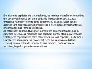 Em algumas espécies de singnatídeos, os machos mantêm os embriões
em desenvolvimento em uma bolsa de incubação especializada
existente na superfície de seus abdomes ou caudas. Esses locais
apresentam modificações morfológicas e fisiológicas semelhantes às
encontradas nas fêmeas vivíparas.
As estruturas reprodutivas mais complexas são encontradas nas 33
espécies de cavalos-marinhos que também apresentam as alterações
fisiológicas reprodutivas mais marcantes. Nessas espécies, as fêmeas
transferem seus gametas (ovócitos) ricos em reservas nutritivas
(vitelo) para a bolsa de incubação dos machos, onde ocorre a
fertilização pelos gametas masculinos.
 