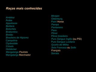 Raças mais conhecidas Andaluz   Árabe   Appaloosa   Berbere   Bolonhês   Brabantino   Bretão   Brasileiro de Hipismo   Campolina   Clydesdale   Crioulo   Holsteiner   Mangalarga  Paulista   Mangalarga  Marchador   Morgan   Oldenburg   Paint   Horse   Pampa   Pantaneiro   Paso   Pônei   Pônei brasileiro   Puro Sangue Inglês  (ou PSI)  Puro Sangue Lusitano   Quarto-de-Milha   Sela Francesa  ou  Selle   Français   Sorraia   