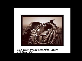 Não quero arreios nem selas...quero LIBERDADE!!! 