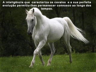 A inteligência que caracteriza os cavalos e a sua perfeita
evolução permitiu-lhes permanecer connosco ao longo dos
                         tempos.
 