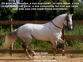 Os seus movimentos, a sua expressão, os seus olhos, a sua
magnitude… em geral, asanguecompanhia faz com que estar
                    Puro sua Lusitano
        com eles seja uma experiência inolvidável.




                       Fotos: Google
                       Música: UHF- Cavalos de corrida
                       Arranjo: Irene Marques
 