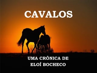 CAVALOS
UMA CRÔNICA DE
ELOÍ BOCHECO
 