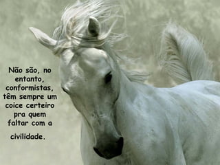 Não são, no
entanto,
conformistas,
têm sempre um
coice certeiro
pra quem
faltar com a
civilidade.
 