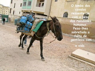 O lombo dos
cavalos
ressente-se
com o peso
das ruindades
humanas.
Pesa-lhes
sobretudo a
falta de
gentileza com
a vida
 