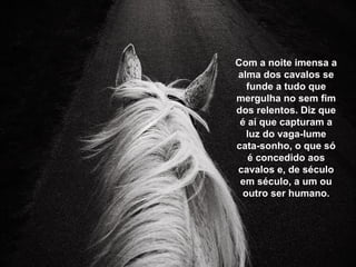 Com a noite imensa a
alma dos cavalos se
funde a tudo que
mergulha no sem fim
dos relentos. Diz que
é aí que capturam a
luz do vaga-lume
cata-sonho, o que só
é concedido aos
cavalos e, de século
em século, a um ou
outro ser humano.
 