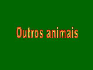 Outros animais 