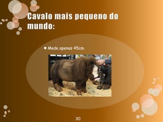Cavalo mais pequeno do mundo:Mede apenas 45cm.30