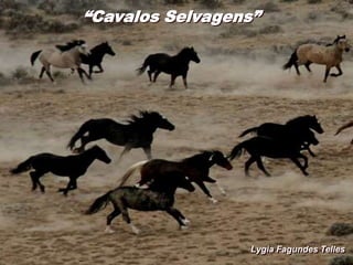 “Cavalos Selvagens”
Lygia Fagundes Telles
 