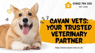 CAVAN VETS:
YOUR TRUSTED
VETERINARY
PARTNER
https://www.cavan-vets.co.uk/
01902 784 555
PET CARE
 