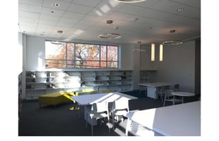 CHILDREN’S BOOK BINS
 