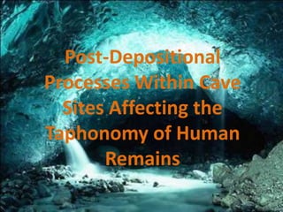 Post-Depositional
Processes Within Cave
  Sites Affecting the
Taphonomy of Human
       Remains
 