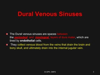 Dural Venous Sinuses
The Dural venous sinuses are spaces between
the periosteal and meningeal layers of dura mater, which are
lined by endothelial cells.
They collect venous blood from the veins that drain the brain and
bony skull, and ultimately drain into the internal jugular vein.
Dr.GPK, OMFS 3
 