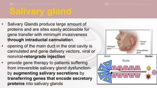 Saliva Injection Regulation of gene expression and gene therapy in dentistry | PPTX