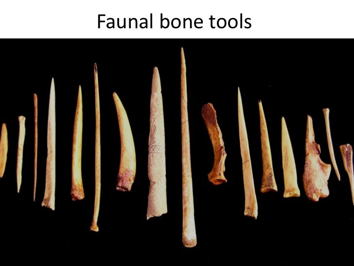 Cave paintings and tools