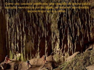 Como una cascada petrificada, una cascada de piedra caliza estriada, reverdecida por las algas, se detienen asombrados espeleólogos en sus pistas. 