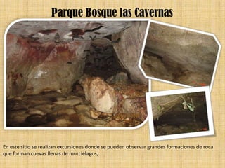 Parque Bosque las Cavernas




En este sitio se realizan excursiones donde se pueden observar grandes formaciones de roca
que forman cuevas llenas de murciélagos,
 