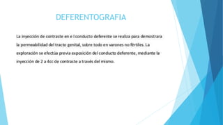 DEFERENTOGRAFIA 
 